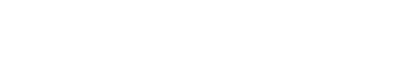 D'Palavestra Academy